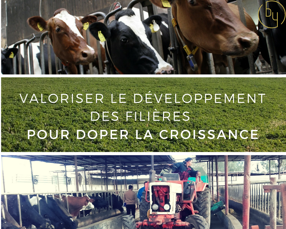 Développement des filières BYO Group
